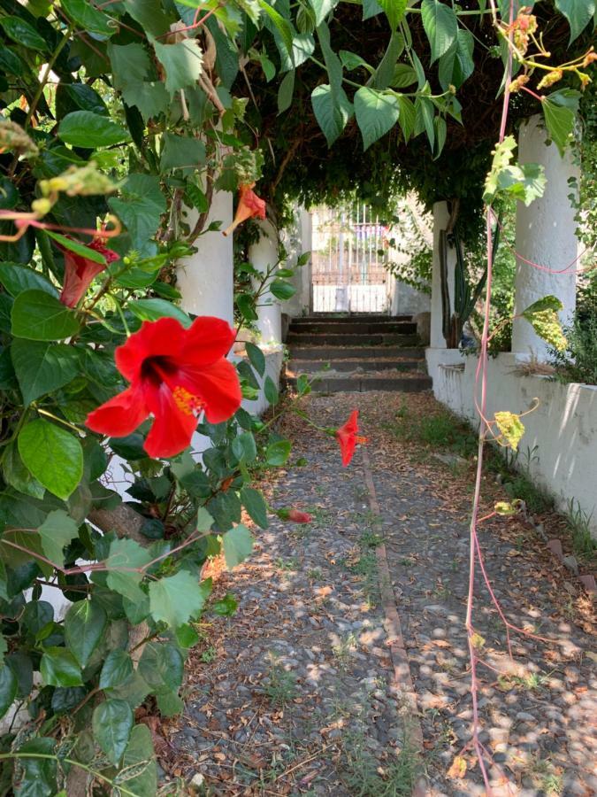 Ferienwohnung Casa Diana Arianna Lipari  Exterior foto